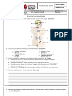 Biología 8.1