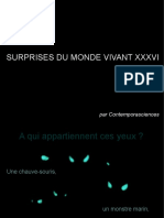 Surprises Du Monde Vivant XXXVI