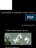 Surprises du monde vivant XXXVII