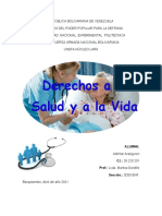 Derecho A La Salud y A La Vida. (Mapa Conceptual)