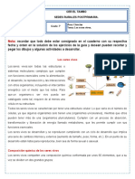 Actividad de Ciencias 7°