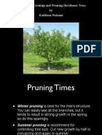 Fruit Trees - Training and Pruning Deciduous Trees