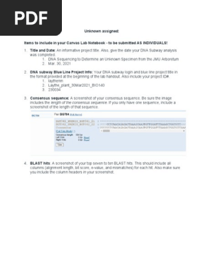DNA Subway Lab Notebook Template
