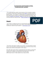 Heart: Know The Structure and Function of The Cardiovascular System