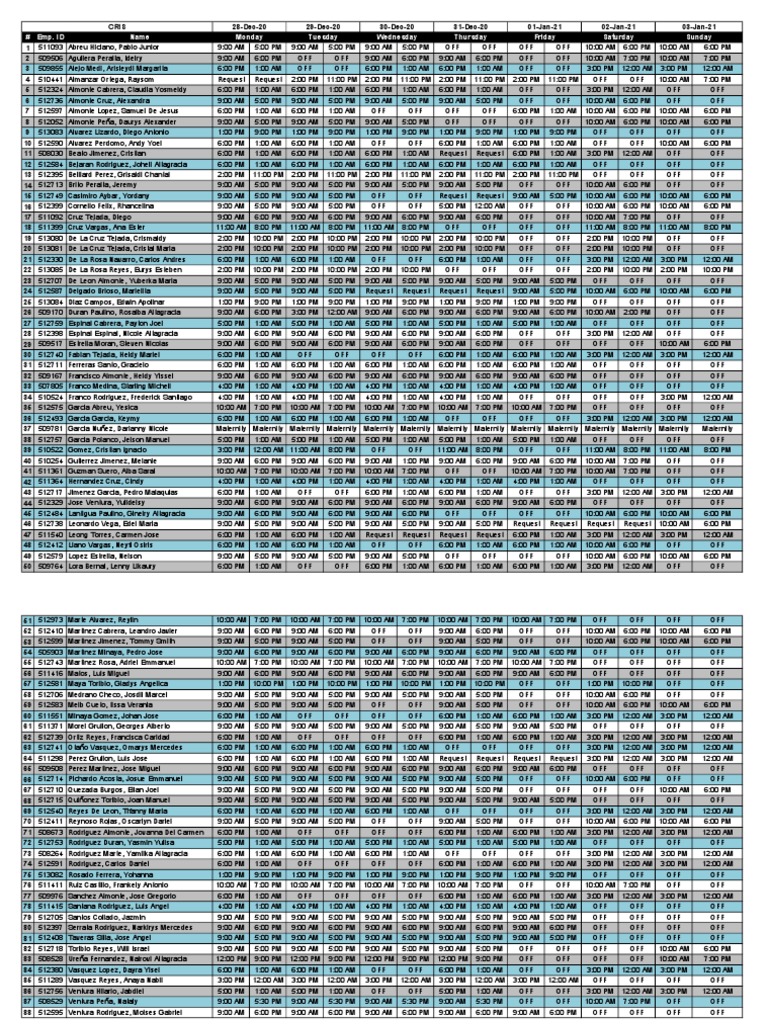Employee Work Schedule Overview | PDF