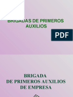 Brigada Primeros Auxilios 1%2c2%2c8%2c9