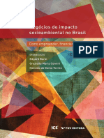 Negócios-de-impacto-socioambiental-no-Brasil - Como Empreender, Financiar e Apoiar - Ebook