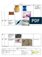 Rangkuman Inf Jamur Pada Kulit