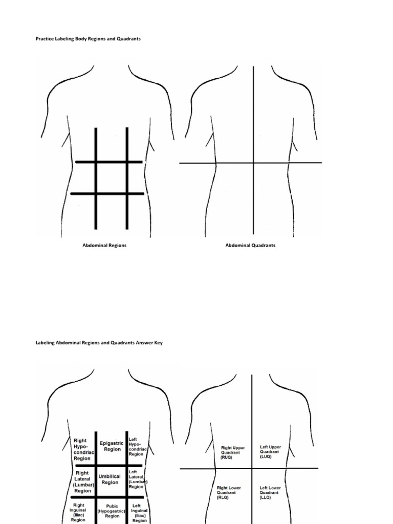 Practice Labeling Body Regions And Quadrants