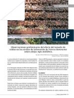 Revista Voces y Ecos No39 21 Efecto Tamano de Celda Infestacion Varroa Destructor