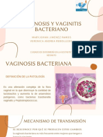 Trastornos Infecciosos Del Aparato Ginecológico Vaginosis y Vaginitis Bacteriano