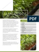 Vivero Productora_arg dde 1995 venta-ALMENDROS