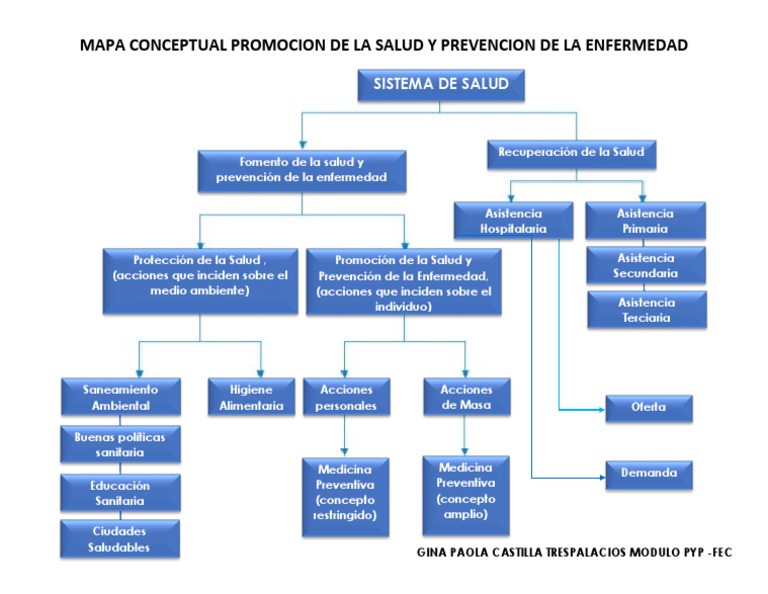 Mapa Conceptual Promocion y Prevencion de La Salud | PDF