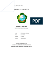 Laporan Praktikum 2 Ekhew Erlinda Marito Pulungan 0310183123