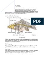 Tugas Biologi Fungsi Sirip Ikan