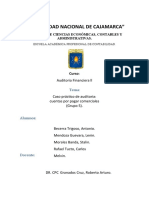 Auditoria Financiera A La Empresa Emibey