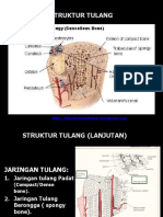 Kuliah 4 Tulang - Skletal