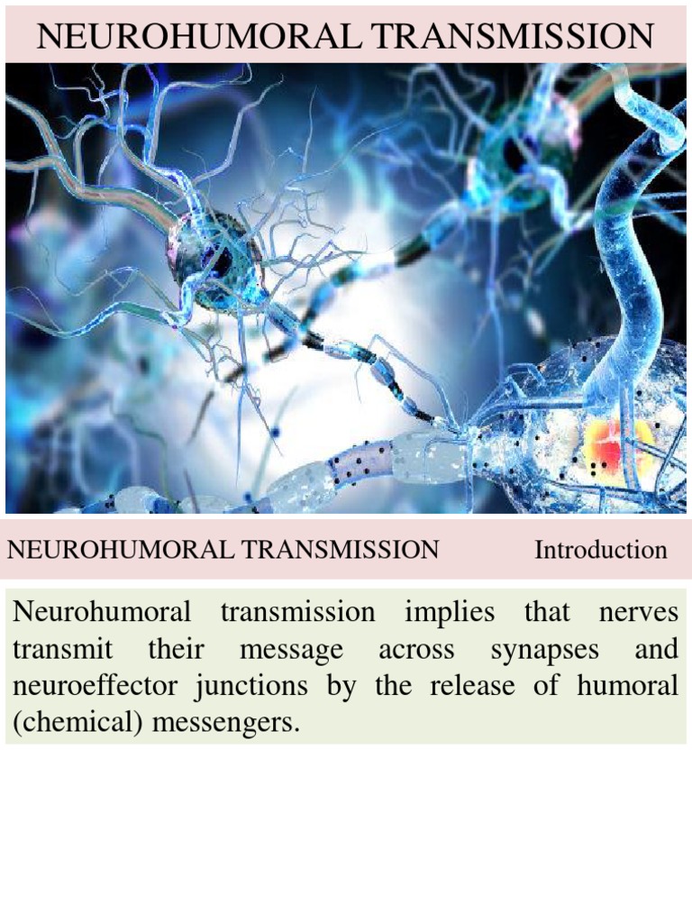 Neurohumoral Transmission PDF Inhibitory Postsynaptic Potential