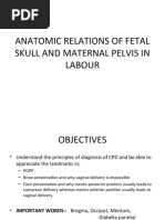 Download ANATOMIC RELATIONS OF FETAL SKULL AND MATERNAL PELVIS IN LABOUR by DavidMuchiri SN50470386 doc pdf