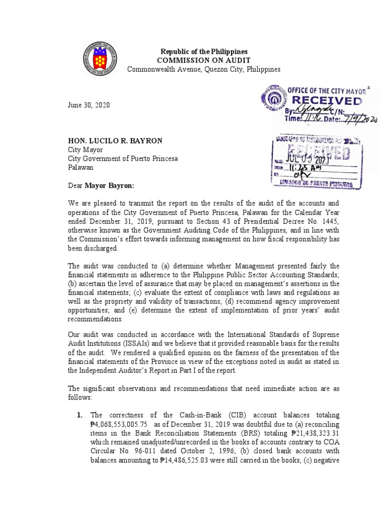 Puerto Princesa City Audit Report 2019 | PDF | Audit | Business