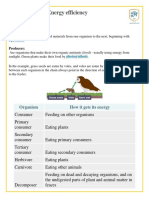 Energy Efficiency Food Chains: Organism How It Gets Its Energy