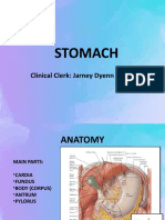 Stomach: Clinical Clerk: Jarney Dyenn Bito-Onon
