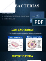 Las Bacterias