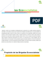 Brigadas Ecosocialistas (Escuelas)