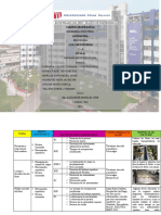 Informe Polvo de Lúcuma