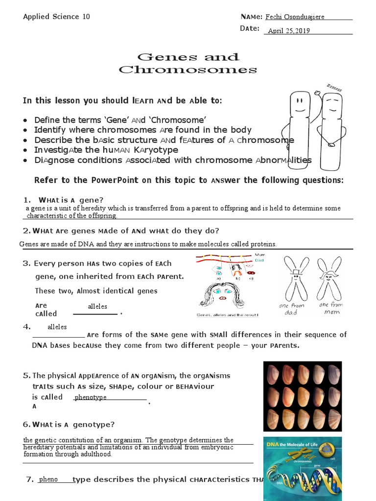 genes-and-chromosomes-in-this-lesson-you-should-l-rn-dbe-ble-to-pdf-gene-chromosome