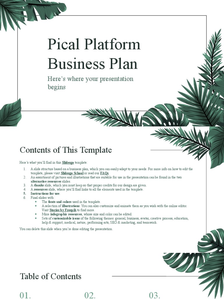 Pical Platform Business Plan - by Slidesgo | PDF | Planets | Solar System