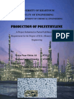 1593194938141-Low Density Polyethylene Production Project