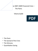 Overview of The 2007-2009 Financial Crisis - The Panic Vitoria Saddi
