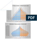 Tablas de Piramide de Poblacion - Epidemiologia