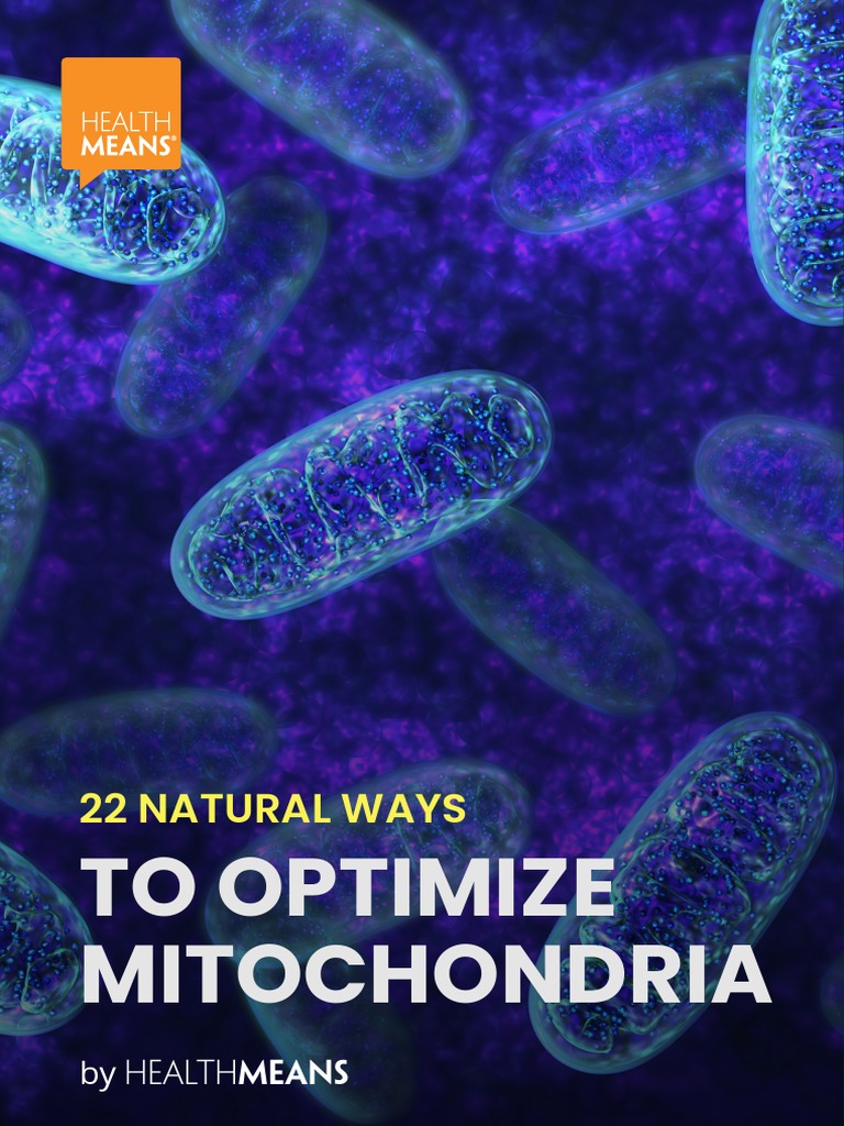 Mitochondrion intelligence overview