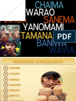 Indígenas de Venezuela 