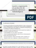 Planificación y Organización de La Producción de Productos Cárnicos e Hidrobiológicos (Teoría)