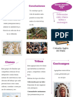 Tarea Folleto 