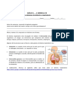 Guía N°1 1° Medio A Y B Los Sistemas Circulatorio y Respiratorio