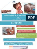 Exposicion MH Pediatria