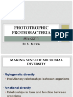 Overview of Phototrophic Proteobacteria