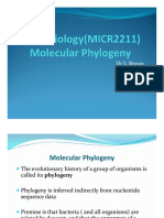 Microbial Phylogeny and Systematics