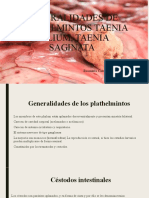 Generalidades de Plathelmintos Taenia Solium y Taenia Saginata