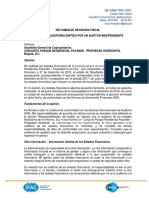 Dictamen y Anexos Revisoria Fiscal - Payande