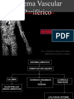 semiologia-del-sistema-vascular-periferico-1209528122331204-9 (1)