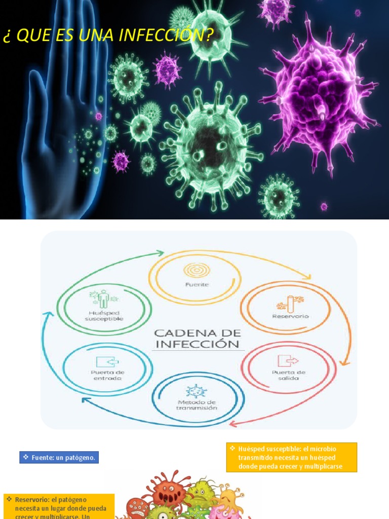 Comprendiendo las Infecciones | PDF | Ciencia y matemáticas