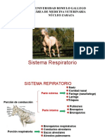 Sistema Respirator I o 2