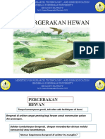 pola pergerakan hewan