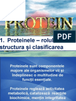 1197208_Proteine Rom 1
