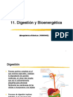 Digestión Principios de Bioenergética 2016-1